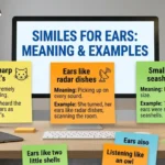 Similes for Ears