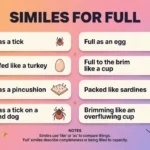 Similes for Full